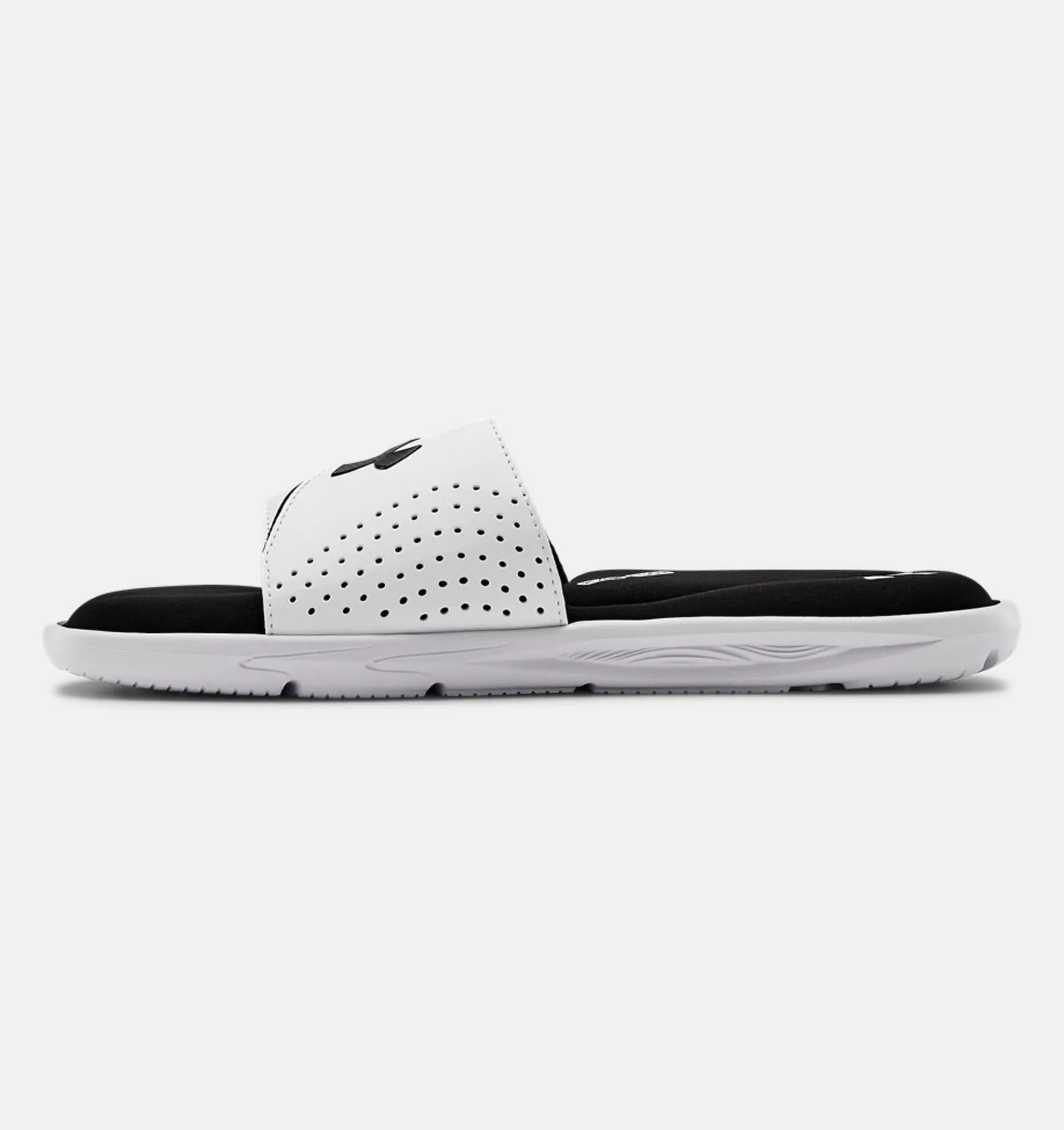 Ignite VI SL - Image 19
